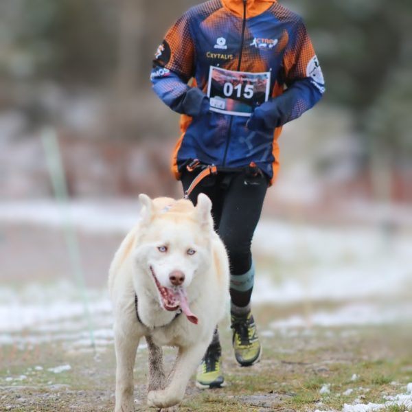 Équilibre & performance du chien sportif