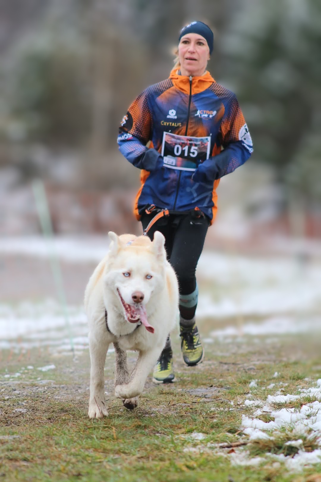 Équilibre & performance du chien sportif – Image 3