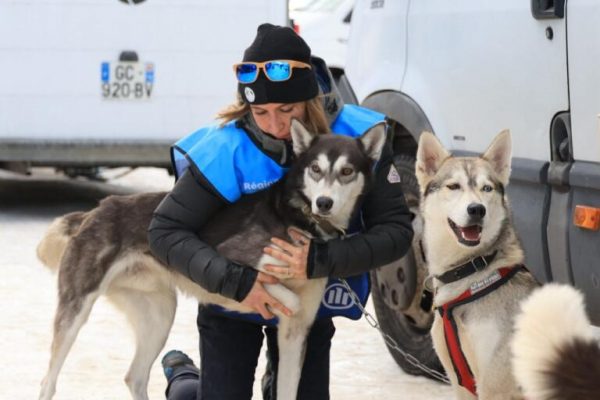 Équilibre & performance du chien sportif