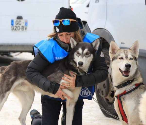 Équilibre & performance du chien sportif