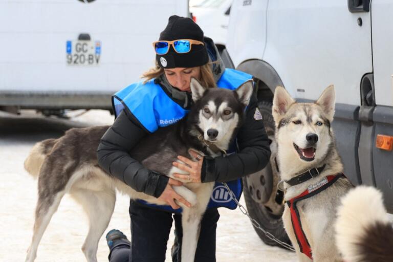 Équilibre & performance du chien sportif – Image 1