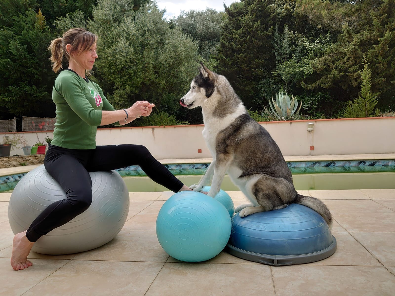 Équilibre & performance du chien sportif – Image 5