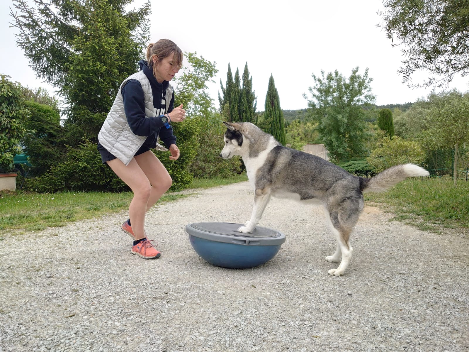 Équilibre & performance du chien sportif – Image 6