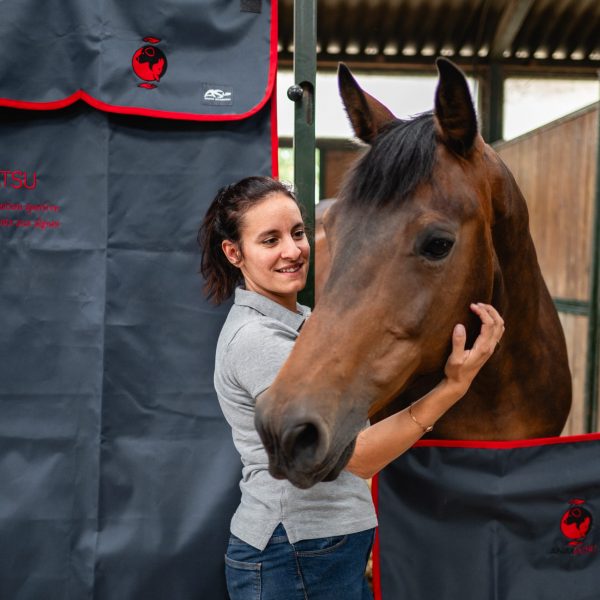 Animiatsu tenture cheval formation du matériel au massage équin pro'animo formations professionnelle continue