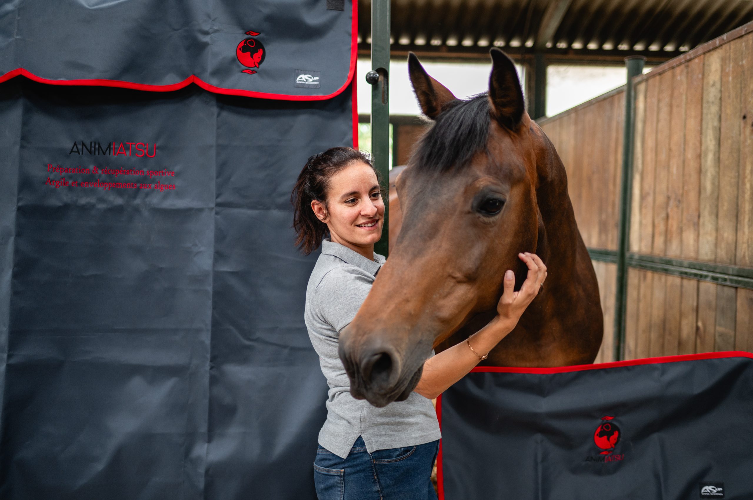 formation du matériel au massage équin pro