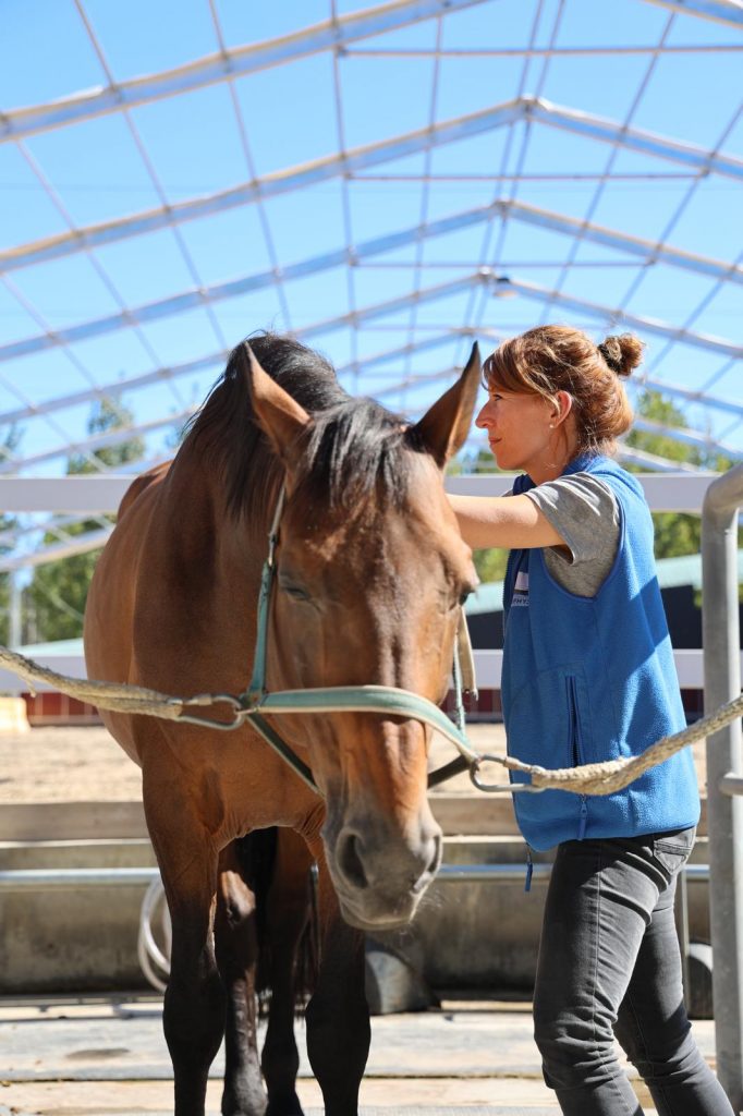 Sandra Magnier masseuse chien chevaux pro'animo formations