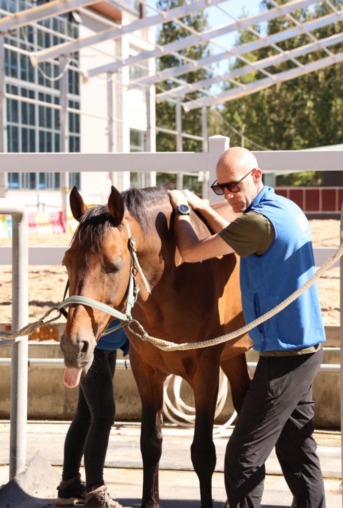 Olivier Magnier ostéopathe PDG Equiphysio co-gérant pro'animo formations