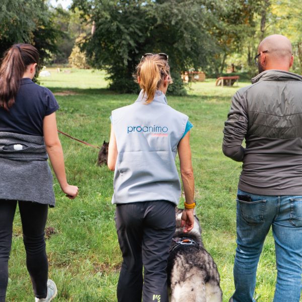 Copie de DSC02553 Équilibre & performance du chien sportif, Niveau 1 Les fondamentaux
