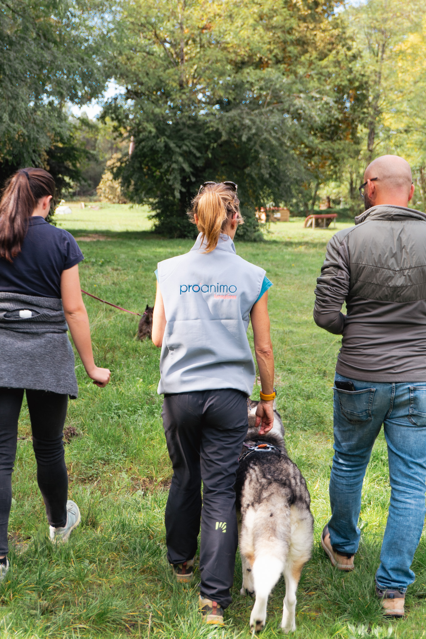 Équilibre & performance du chien sportif, Niveau 1 Les fondamentaux – Image 2