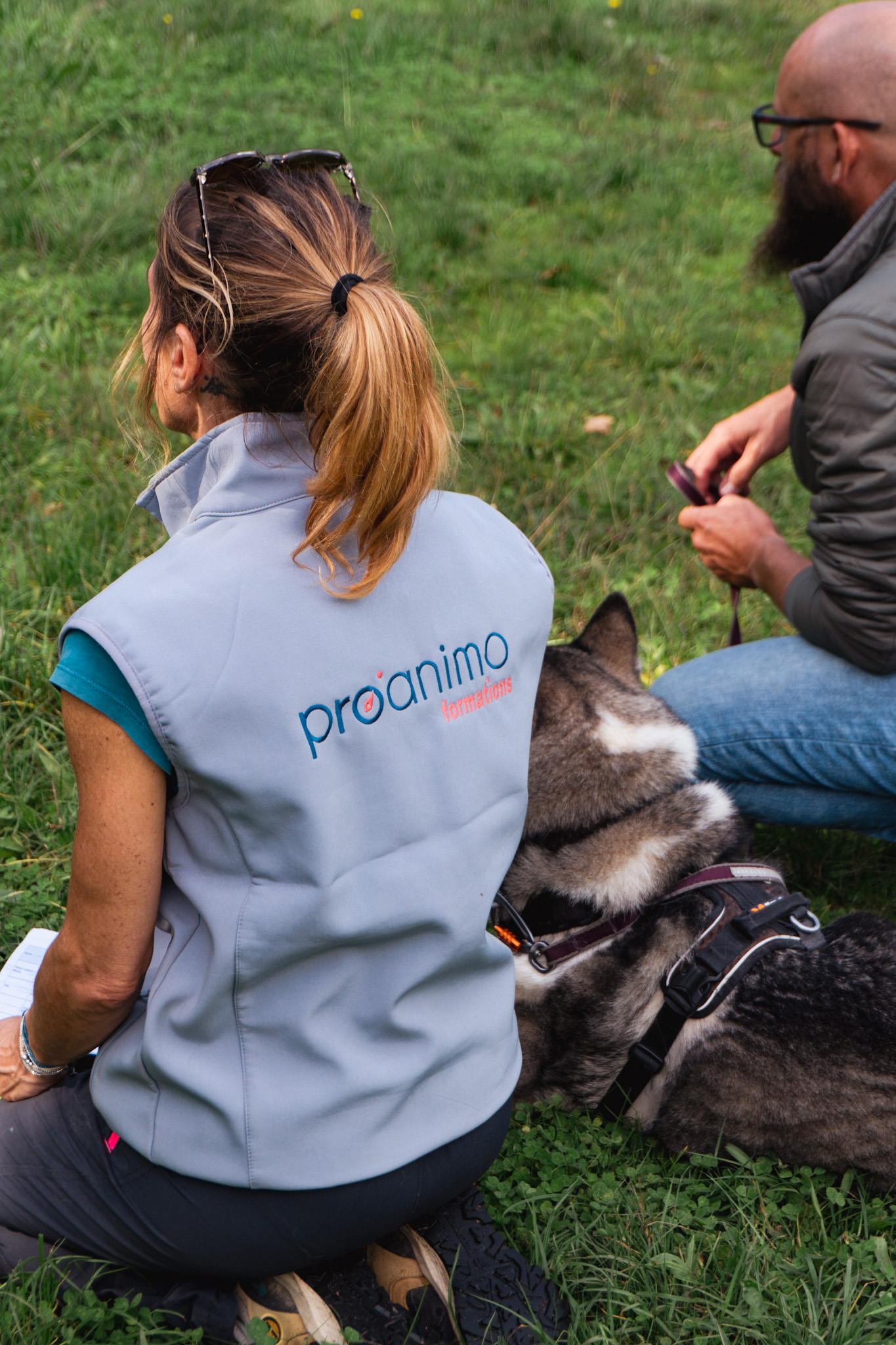 Equilibre et performance du chien sportif, Niveau 2 Expert – Image 8