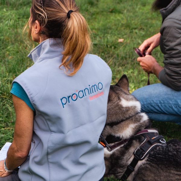 DSC02608 Équilibre & performance du chien sportif, Niveau 1 Les fondamentaux