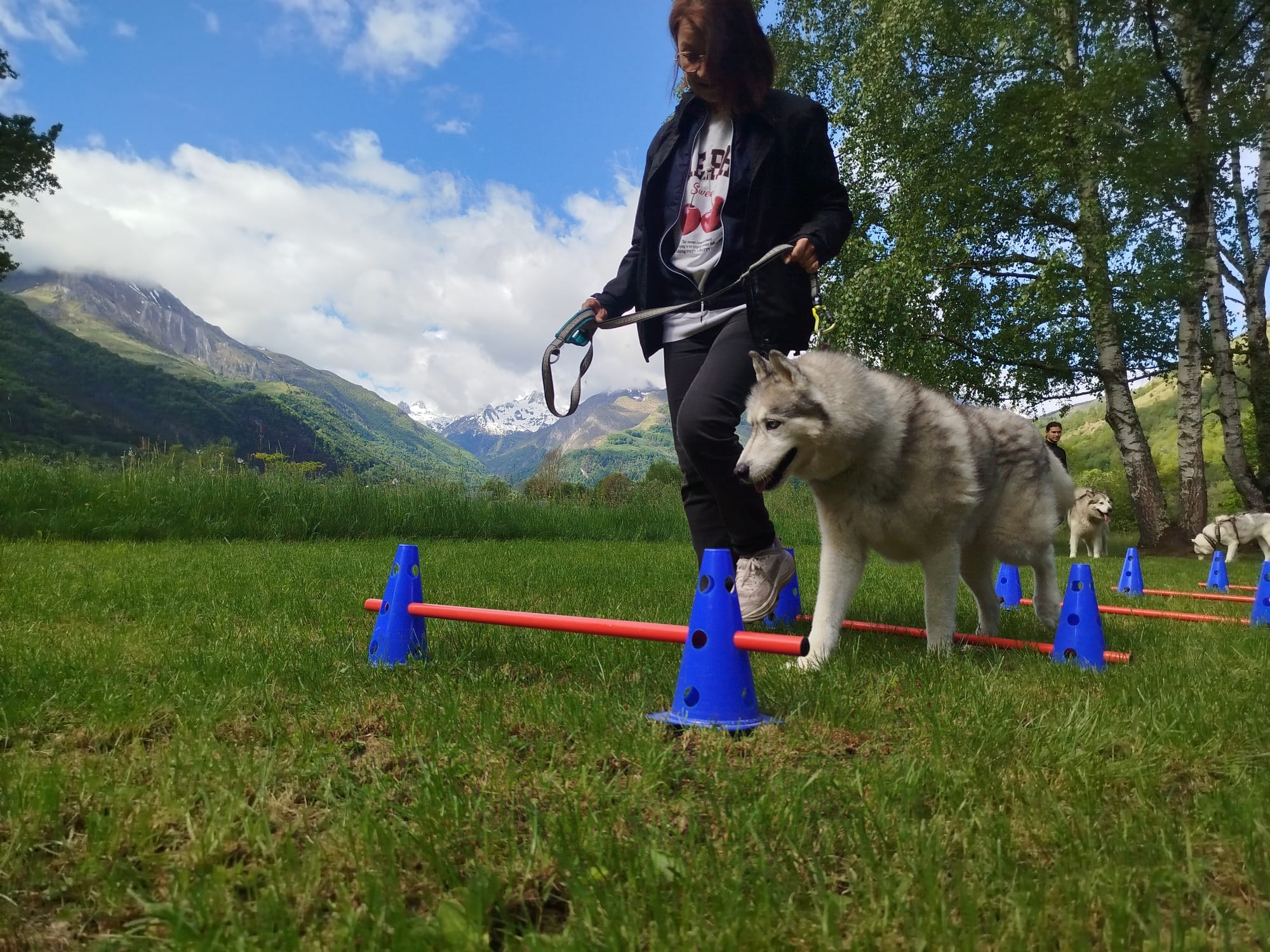 Equilibre et performance du chien sportif, Niveau 2 Expert – Image 6