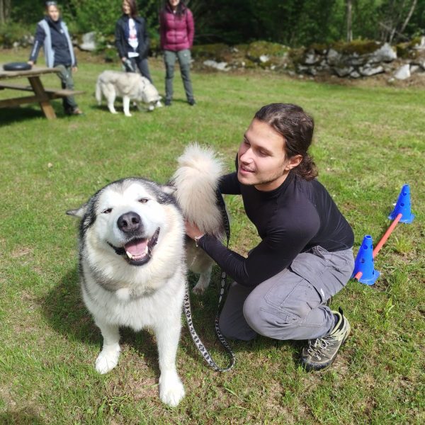 Equilibre et performance du chien sportif, Niveau 2 Expert