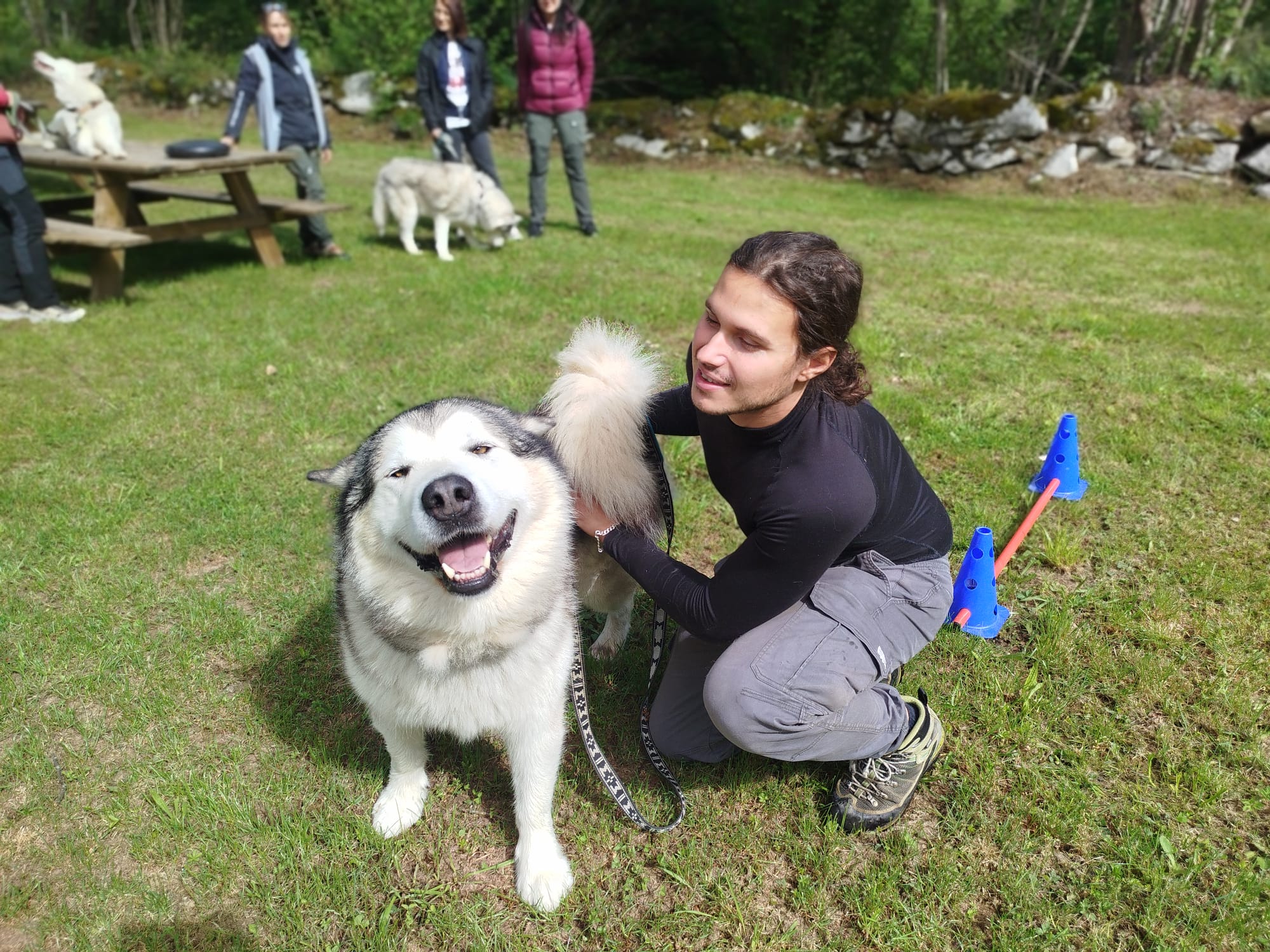 Equilibre et performance du chien sportif, Niveau 2 Expert – Image 2